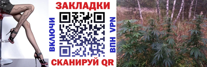 Как найти наркотики Монино Каннабис  Alpha PVP  COCAIN  Псилоцибиновые грибы  Мефедрон  Гашиш 
