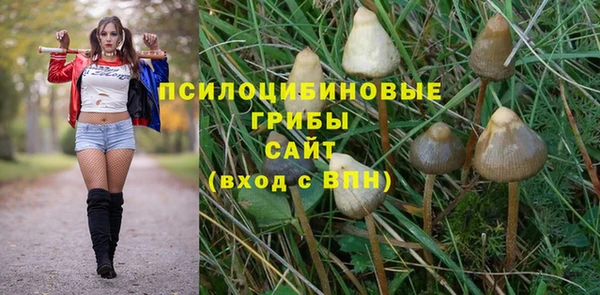 COCAINE Белокуриха