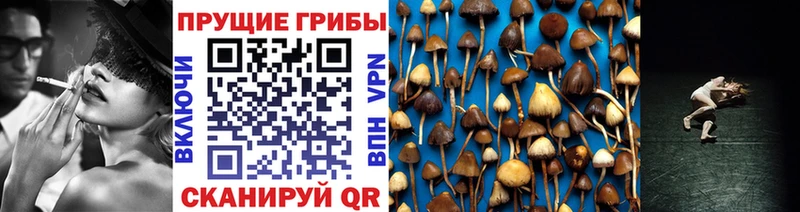 Галлюциногенные грибы MAGIC MUSHROOMS  Монино 